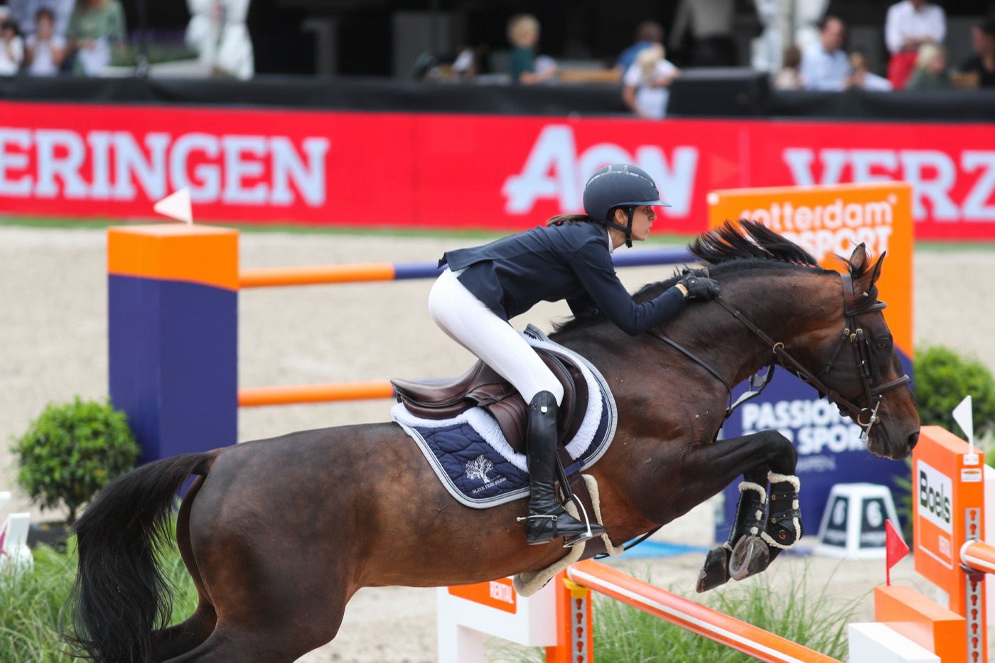 Rotterdam — Ioli mid-air